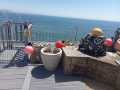 IMG-20230703-WA0001